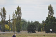 Camperdown 2012