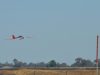 red plane around pylon