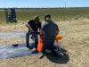 image039_800h