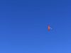 image024_800h