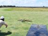 image038_800h