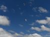 image045_800h
