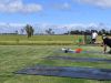image063_800h
