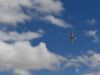 image071_800h